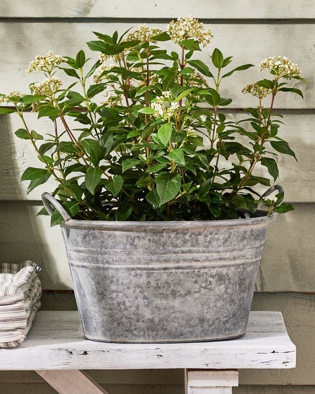 Slate Cement Oval Planter Indoor Flower Pot Houseplant Outdoor Garden Plant Pot