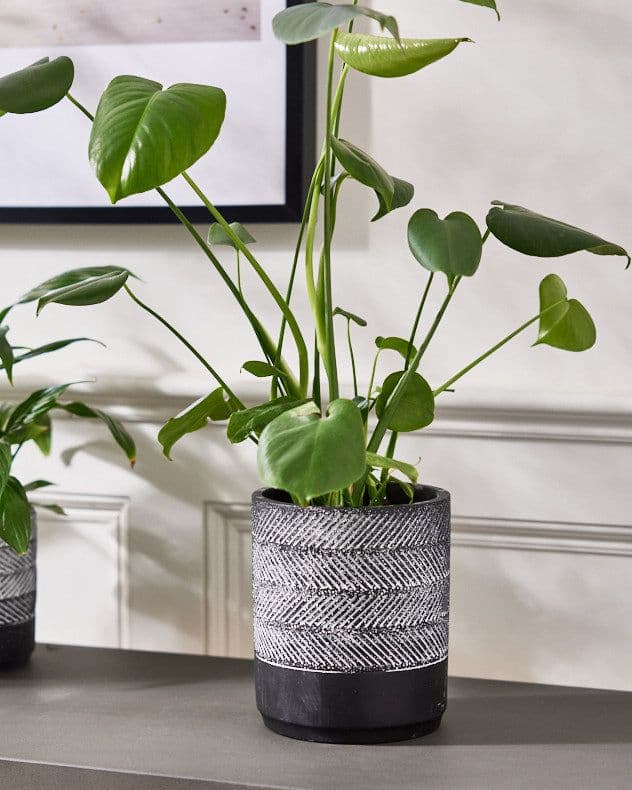 Slate Cement Tall Planter Indoor Flower Pot Houseplant Outdoor Garden Plant Pot