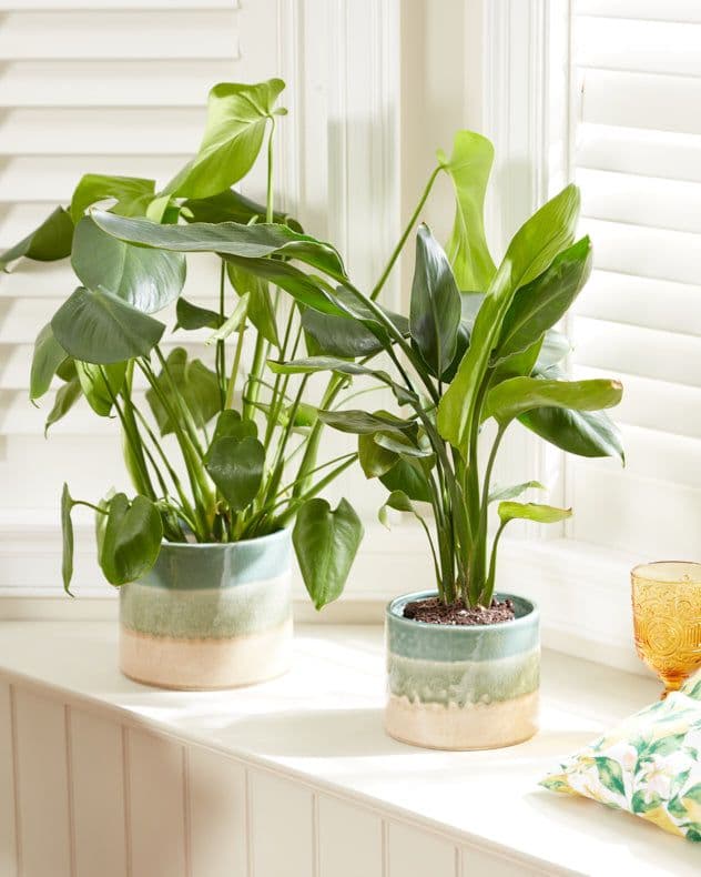 Set 2 Plant Pots Seafoam & Beige Two Done Dipped Effect Indoor Houseplant Flower Planters