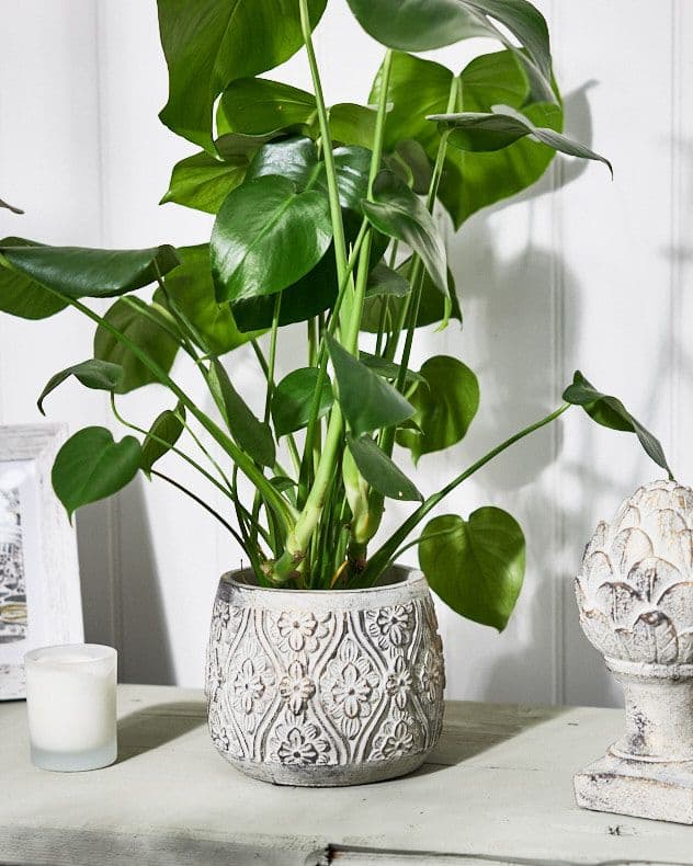 Vintage Small Embossed Floral Design Indoor Outdoor Garden Plant Pot