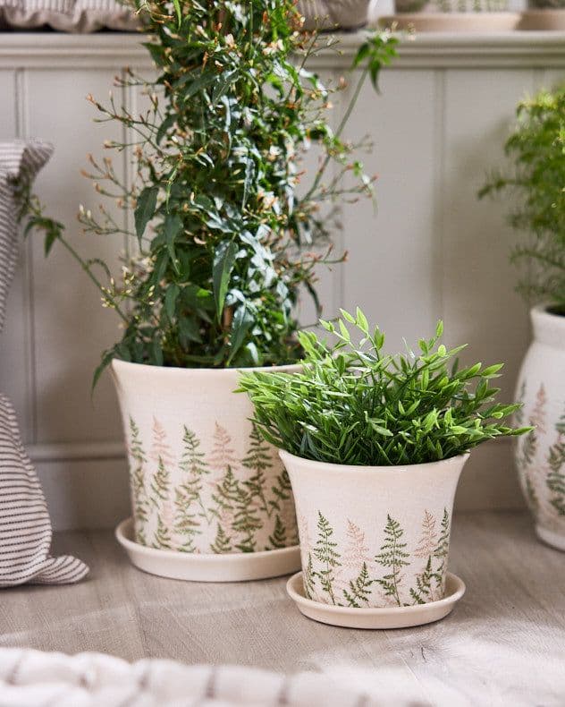 Set 2 Fern Planters Trays Indoor Outdoor Flower Garden Planters