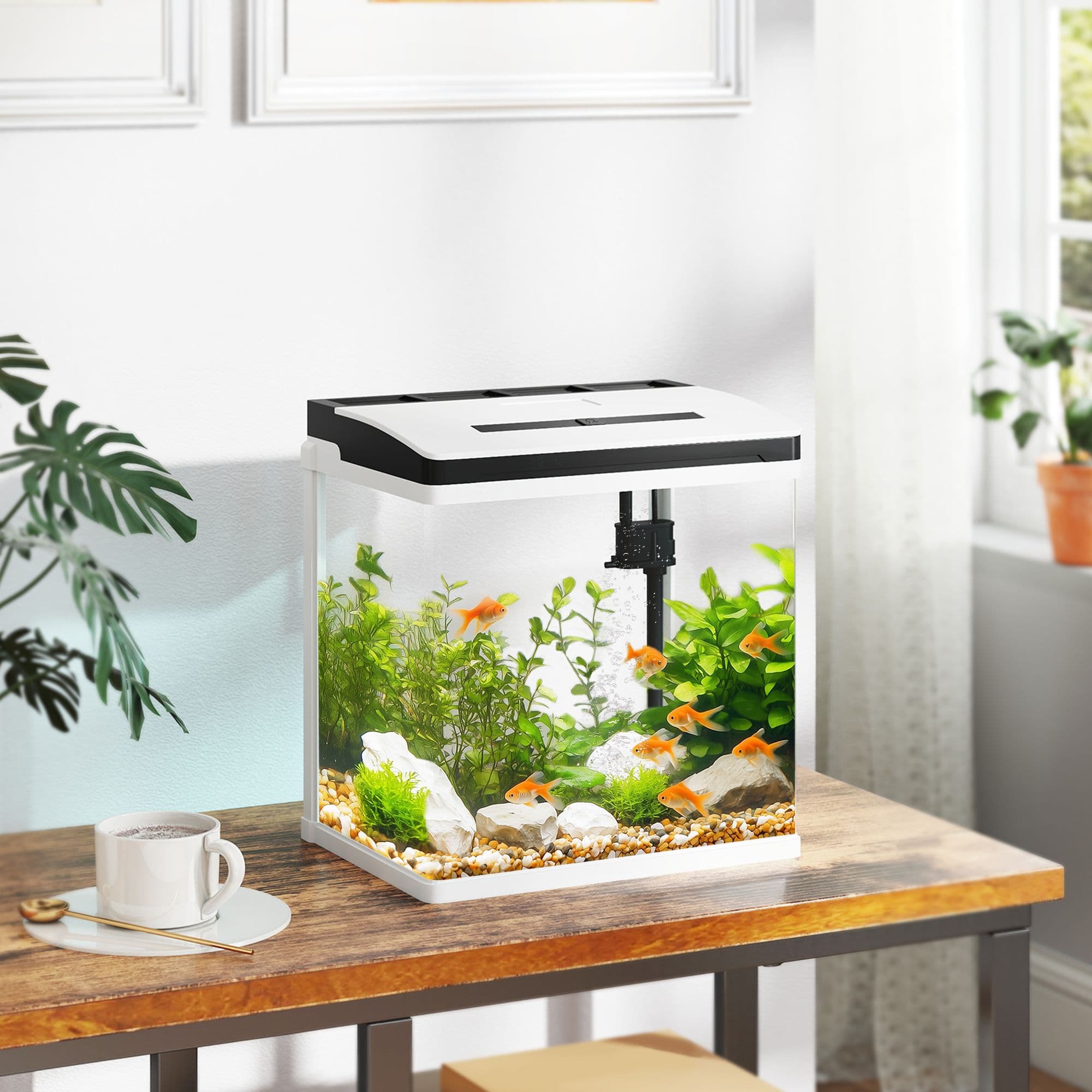 Aquarium 13L Glass Fish Tank for Betta, Guppy, Mini Parrot Fish, Shrimp