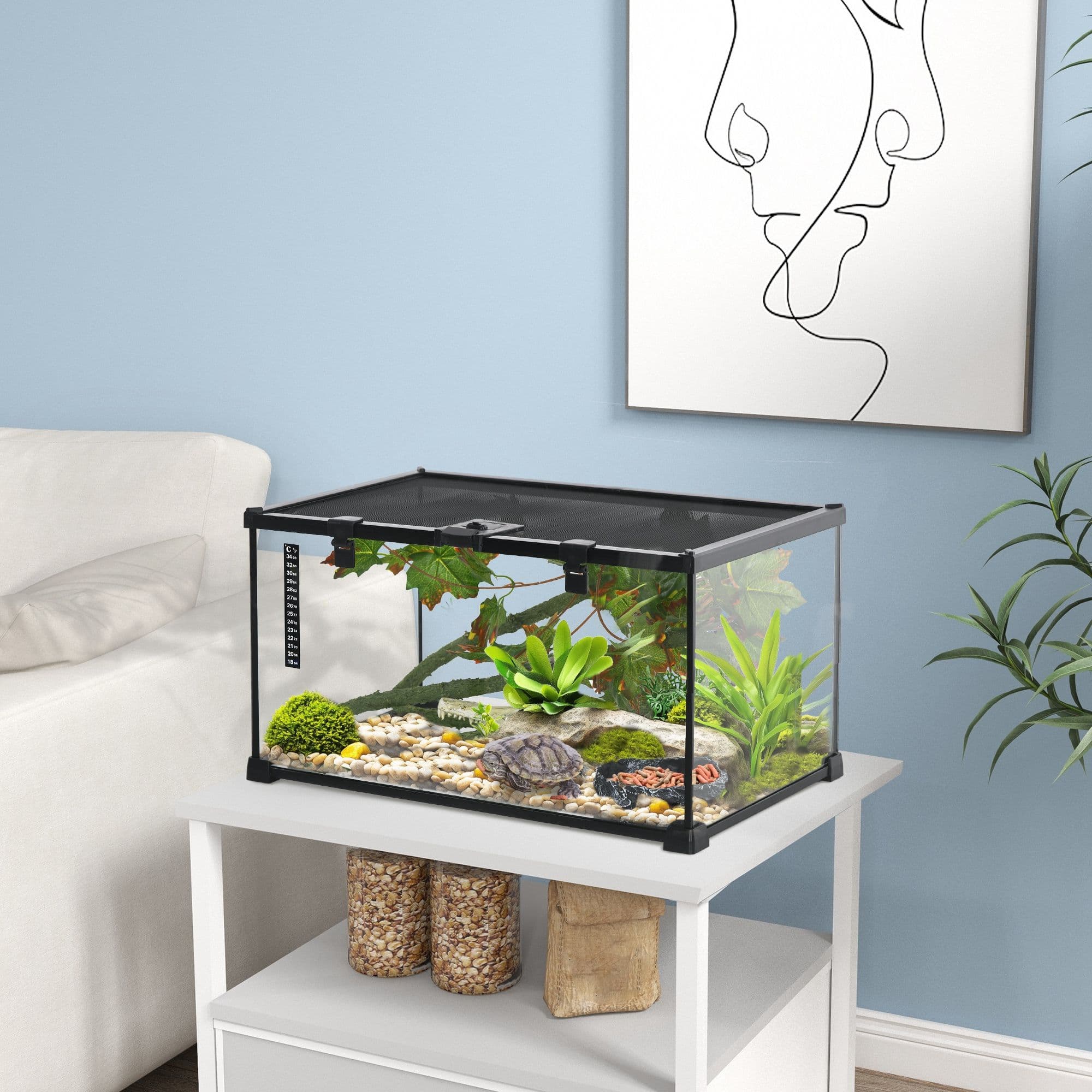 Glass Reptile Terrarium with Thermometer and Decor Kit, Heated, Black