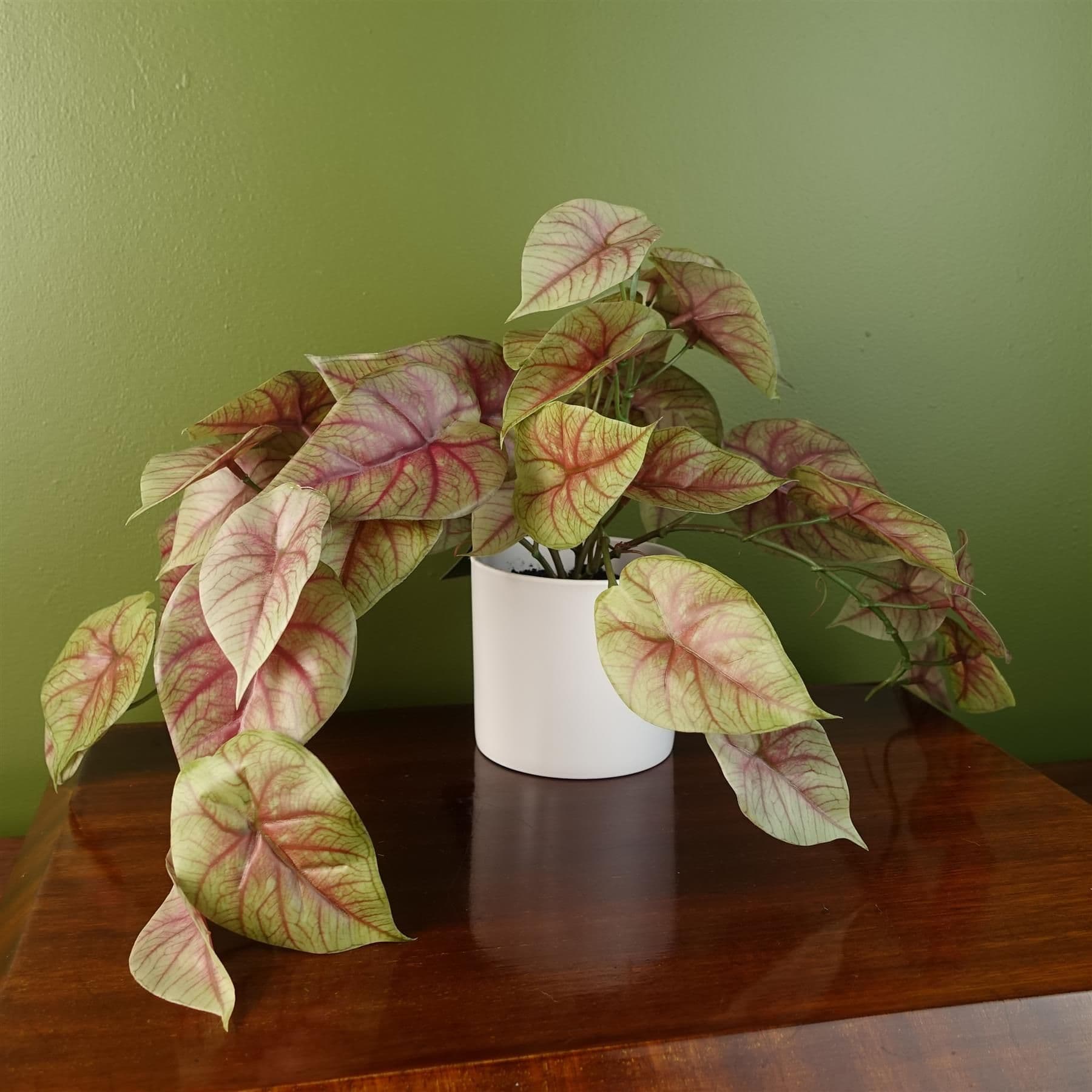 Artificial Pink Caladium Potted Trailing Plant Botanik