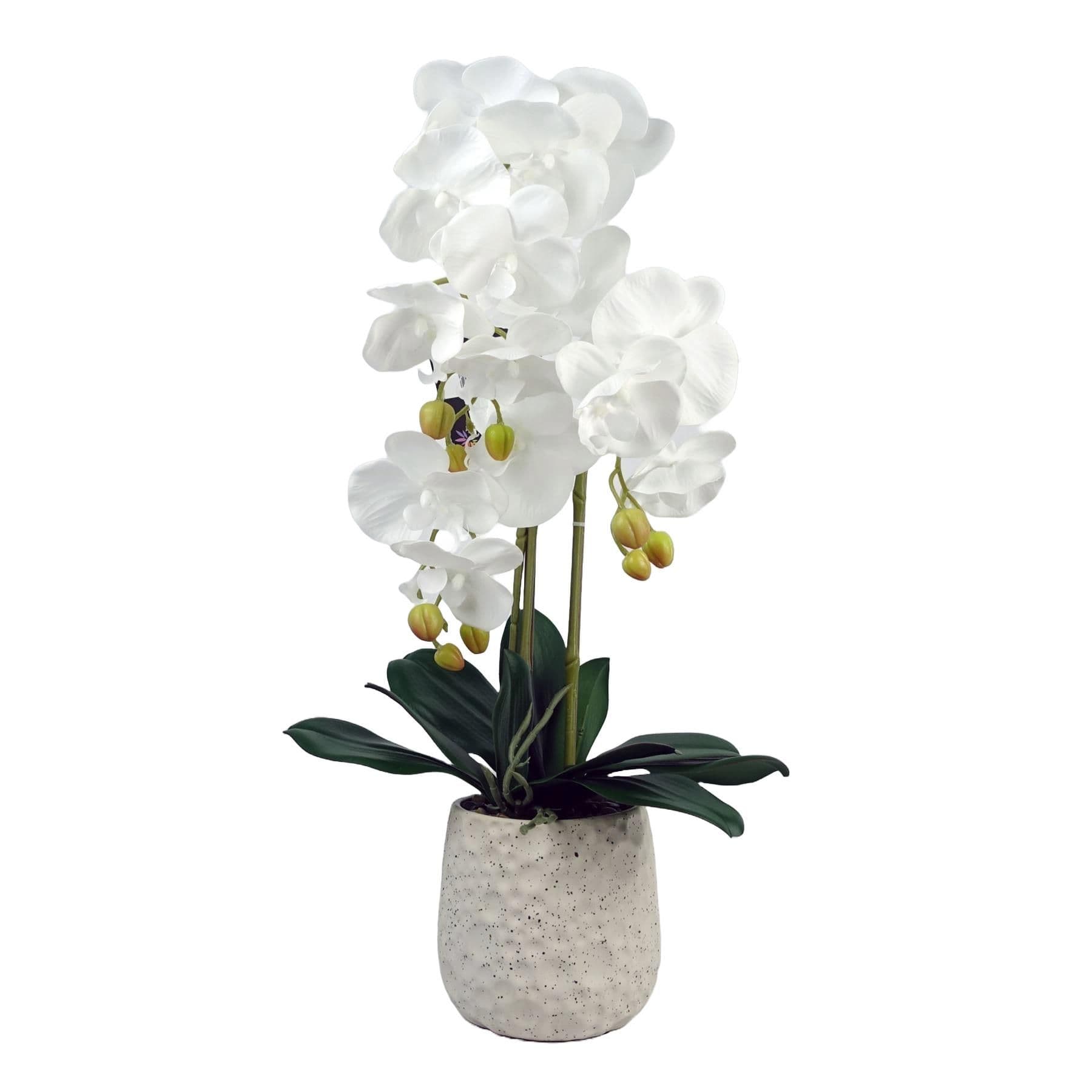 Artificial White Orchid with Ceramic Bubble Planter Botanik