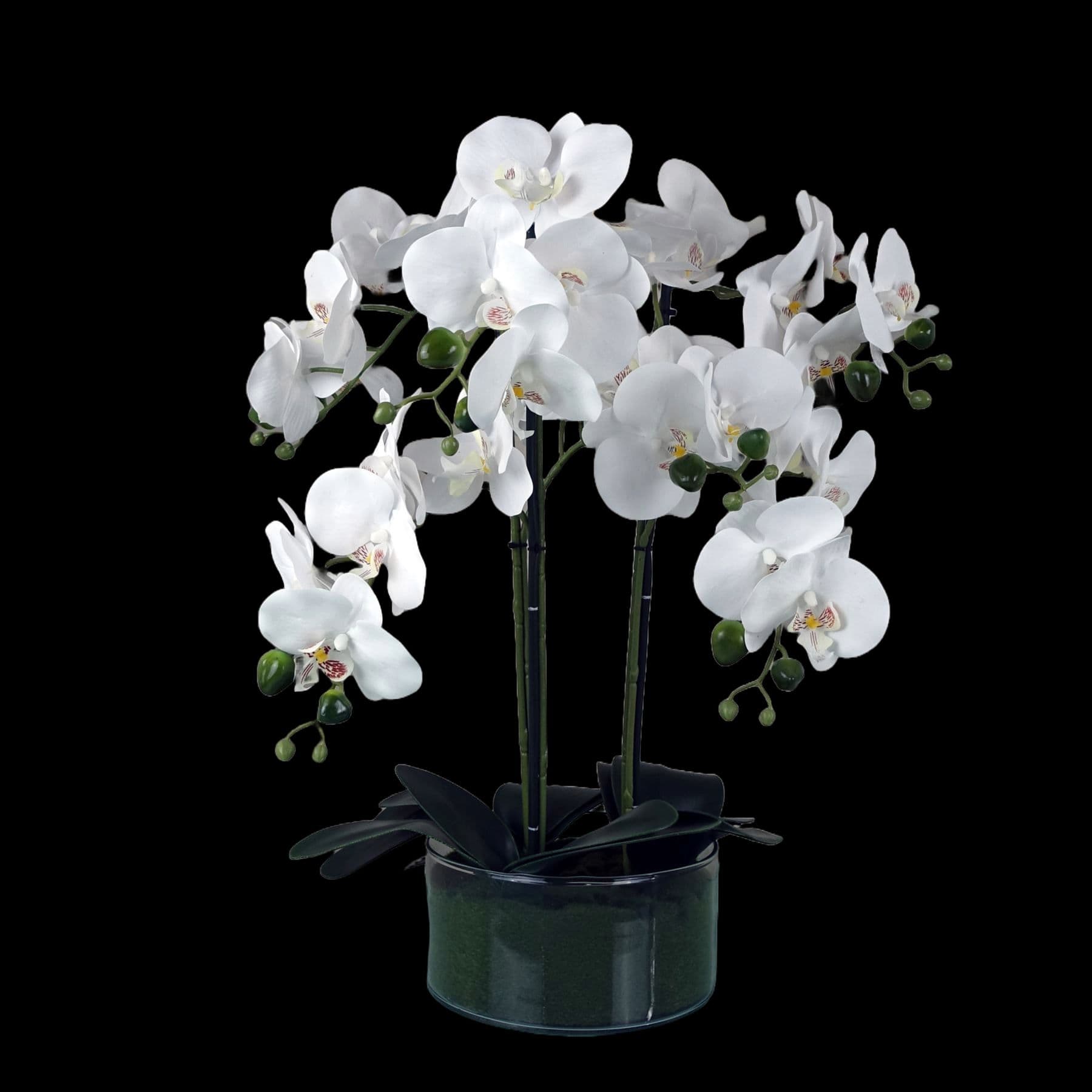 Artificial Orchid with Glass Planter White Botanik