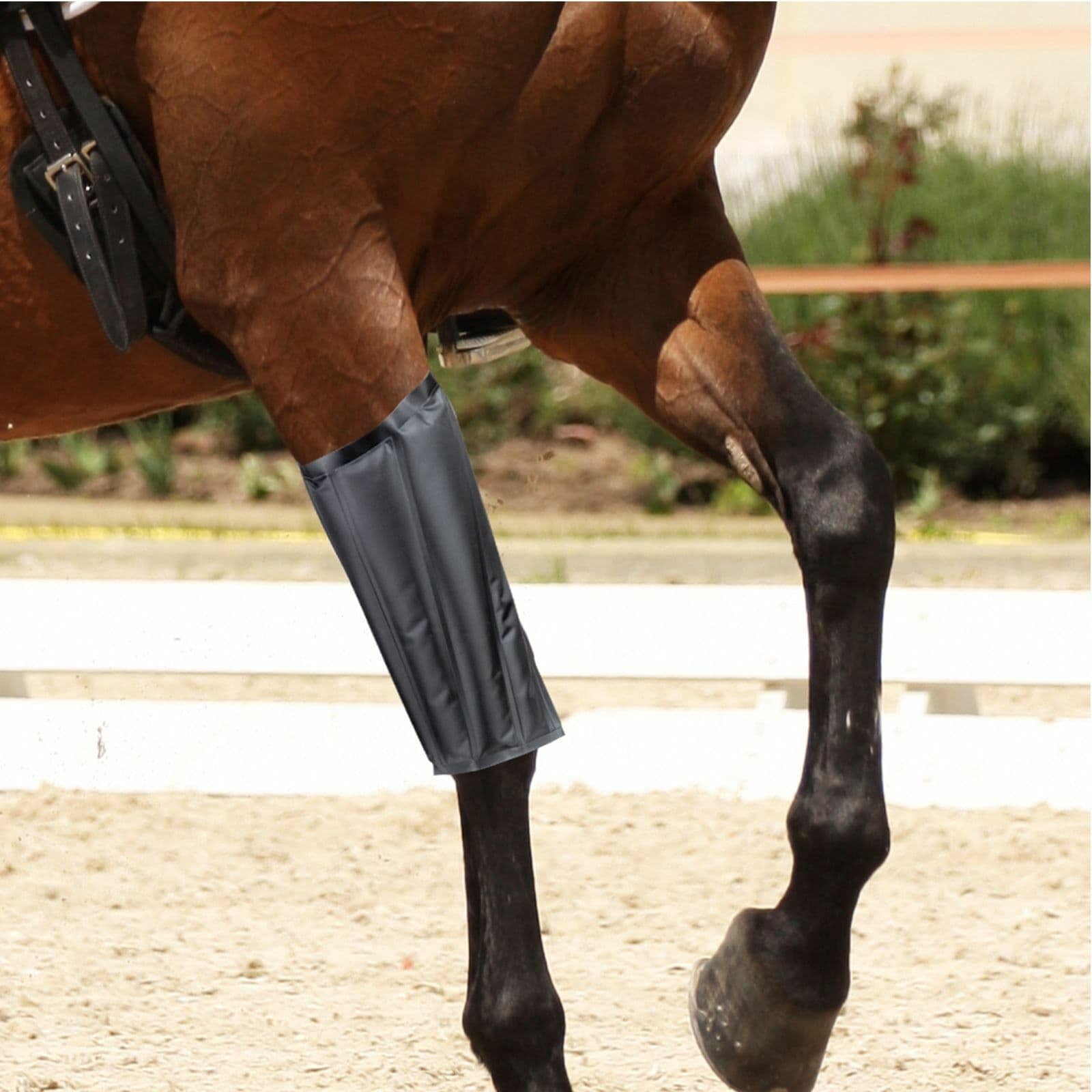 Horse Knee Support Brace Sleeve Wrap Hot Cold Pack