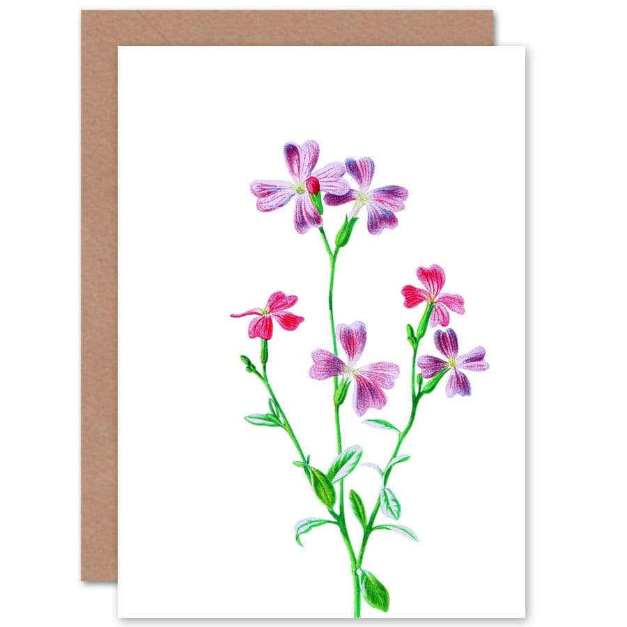 Vintage Bright Botanicals Virginian Stock Greetings Card