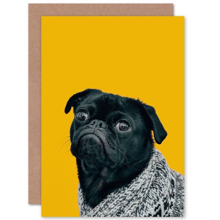 Deluvio Pug Dog Puppy In Sweater Greetings Card