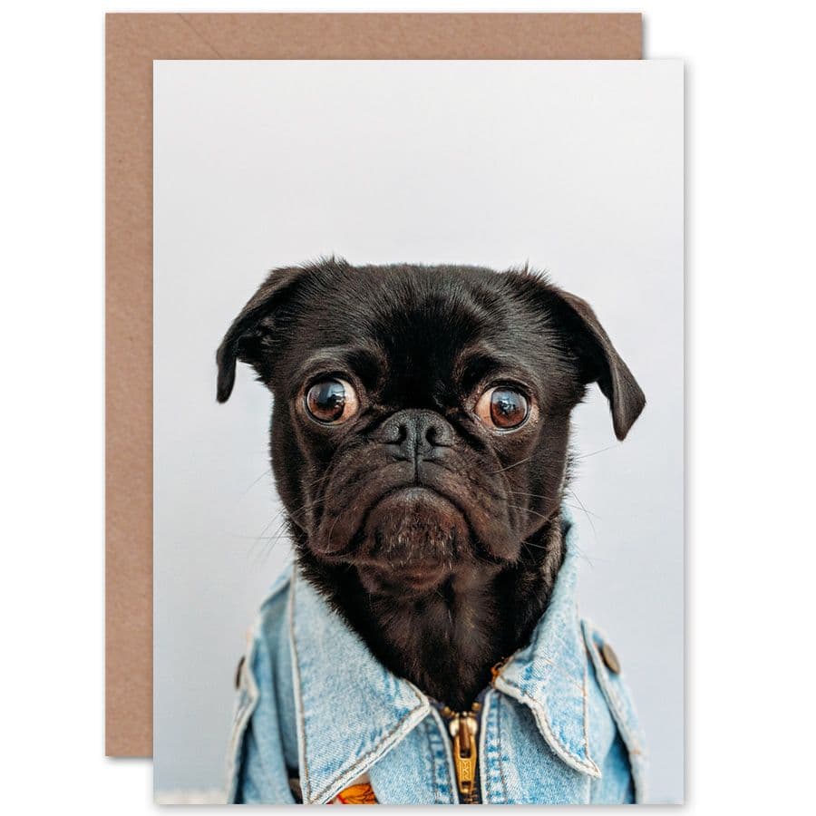 Deluvio Pug Puppy Dog Jacket Greetings Card