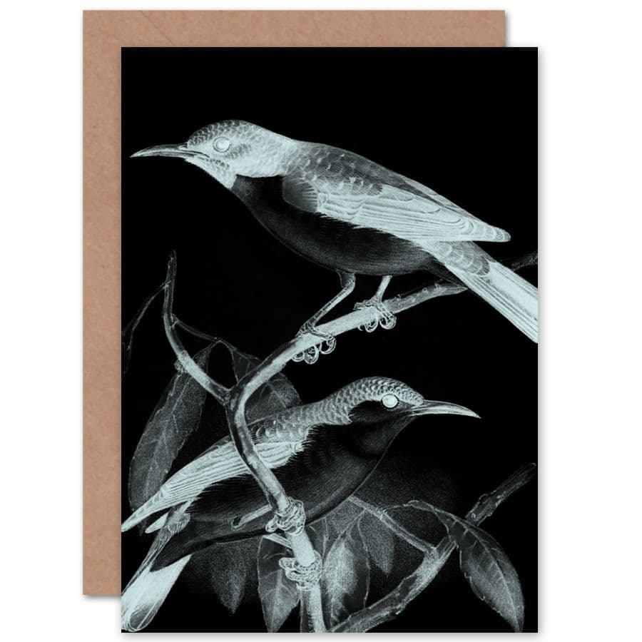 Birds Night Greetings Card