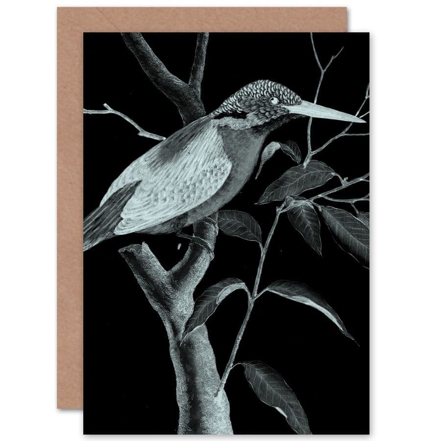 Kingfisher Night Greetings Card