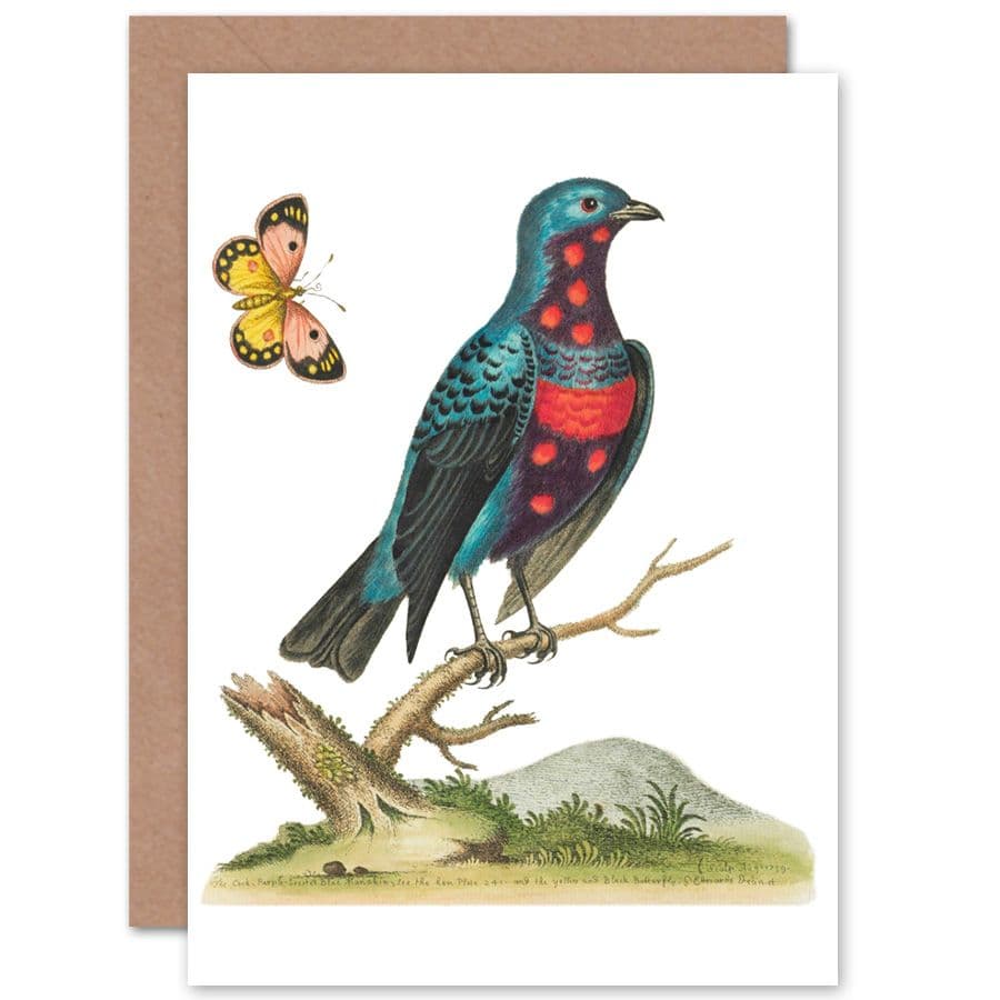 Bird Spotted Greetings Card