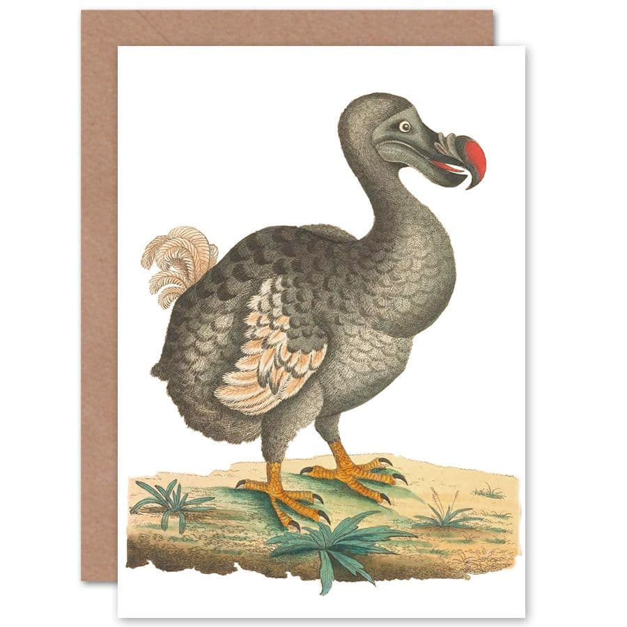 Bird Dodo Vintage Greetings Card