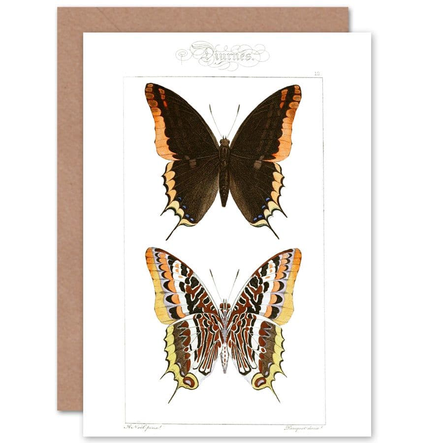 Butterflies Black and Brown Pattern Greetings Card