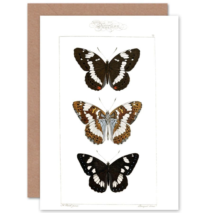 Butterflies Brown Greetings Card