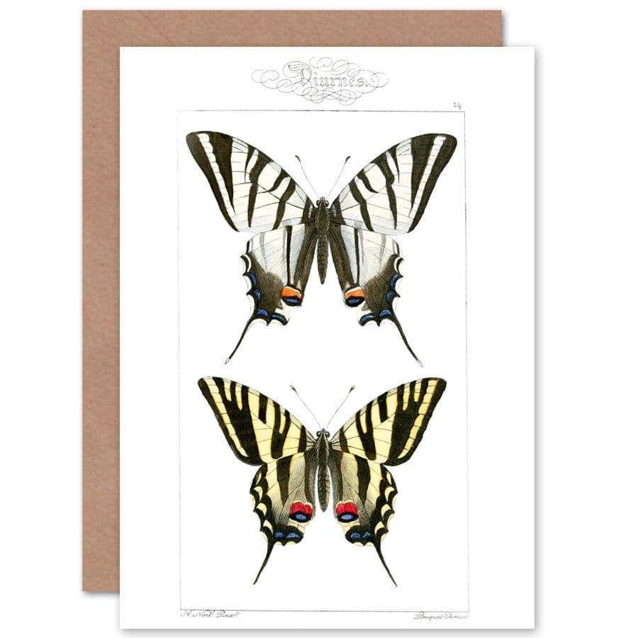 Butterflies Tiger Greetings Card