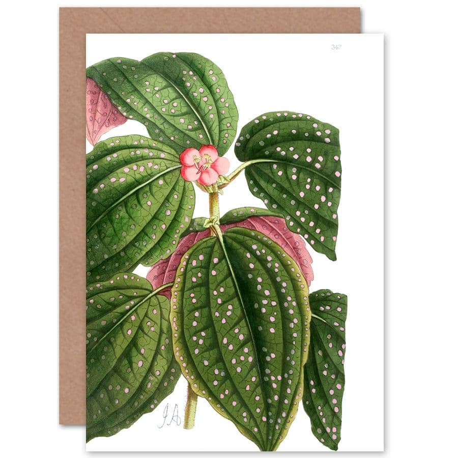 Flower Spotted Leaves Pink Green Greetings Card