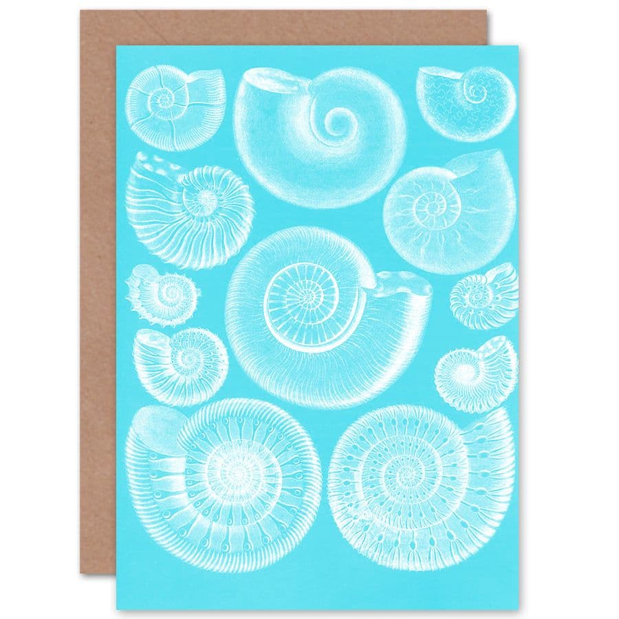 Fossil Sea Ammonites Greetings Card