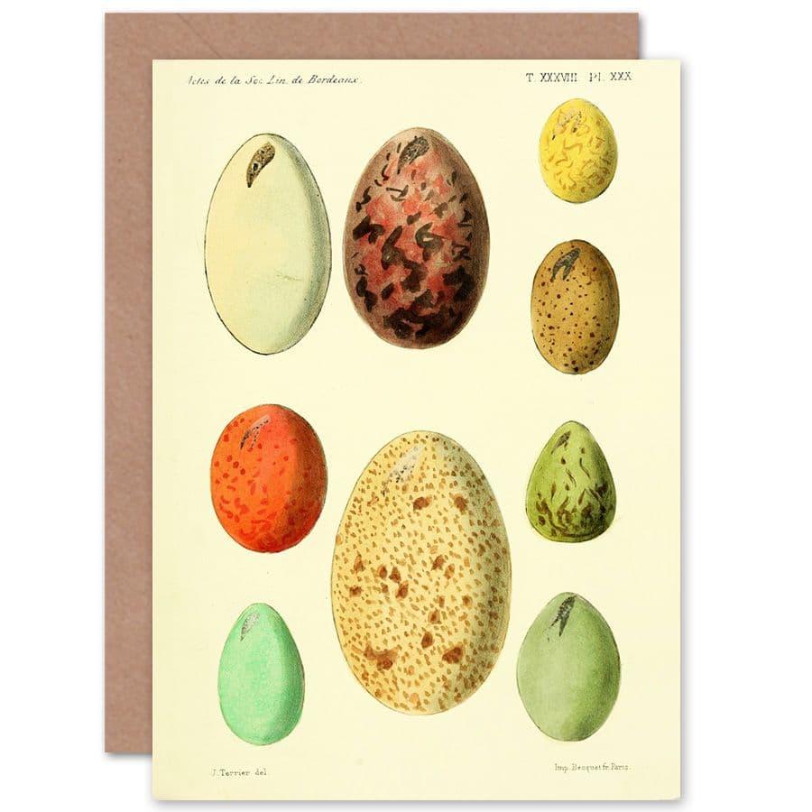 French Eggs Vintage Greetings Card