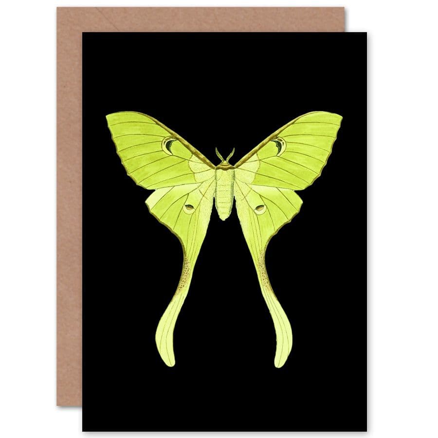 Luna Moth Greetings Card