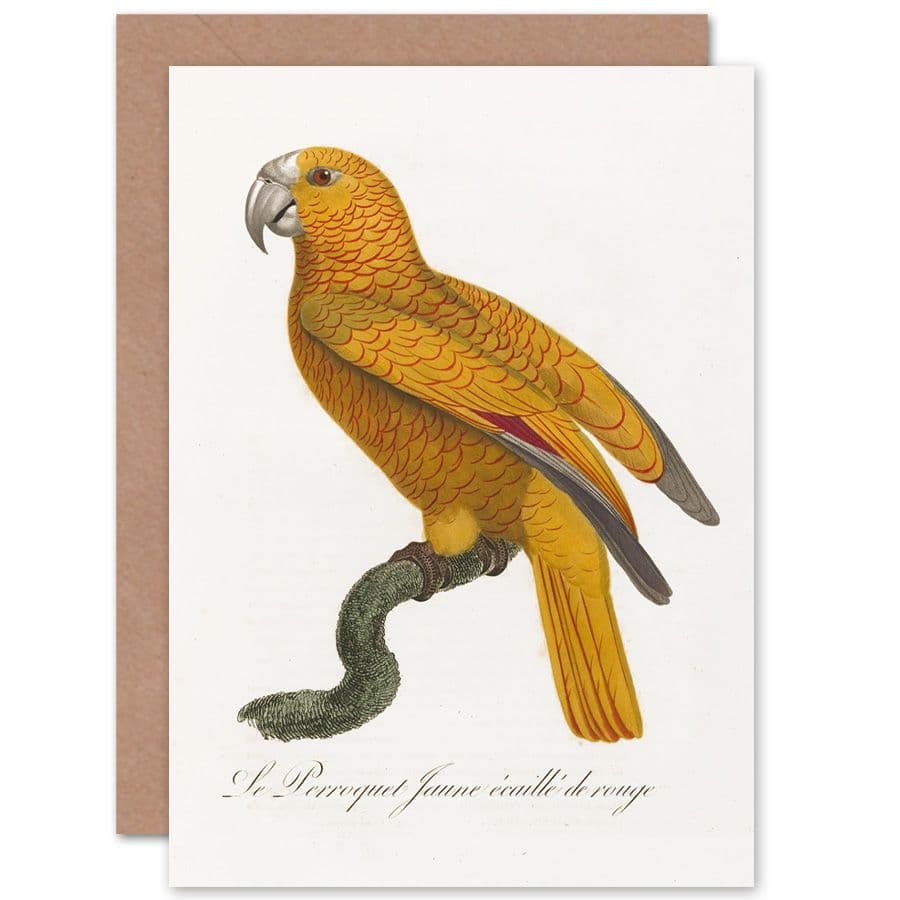 Bird Vintage Greetings Card