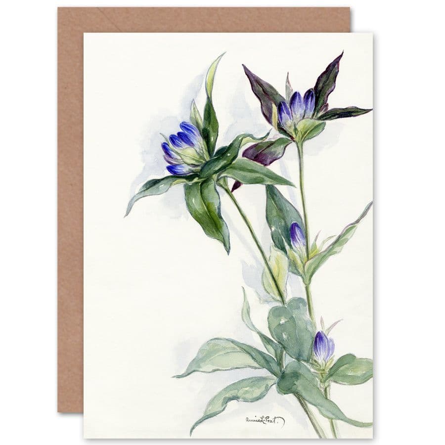 Purple Watercolour Flowers Greetings Card