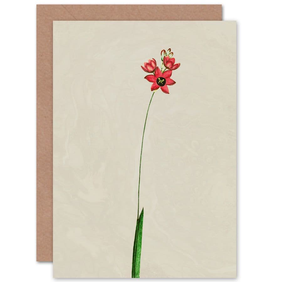 Vintage Flower Painting Greetings Card