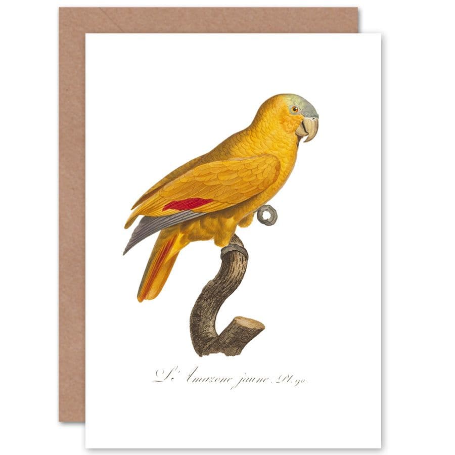 Yellow Amazon Bird Greetings Card