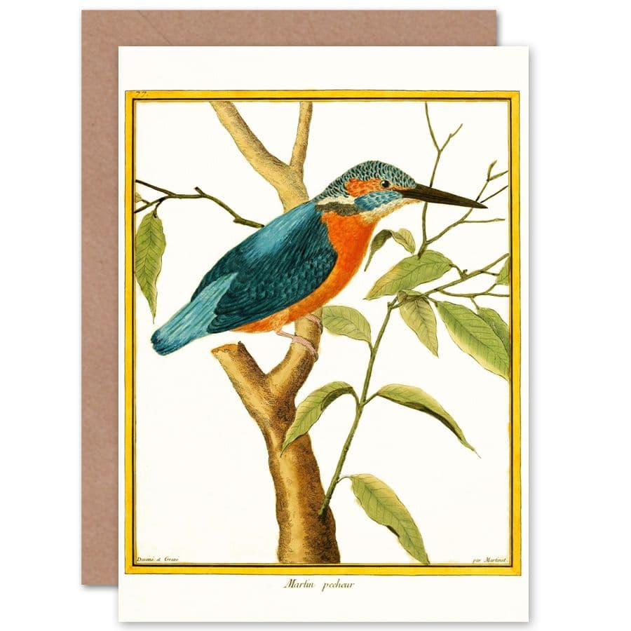 Bird Common Kingfisher Martin Pecheur Greetings Card