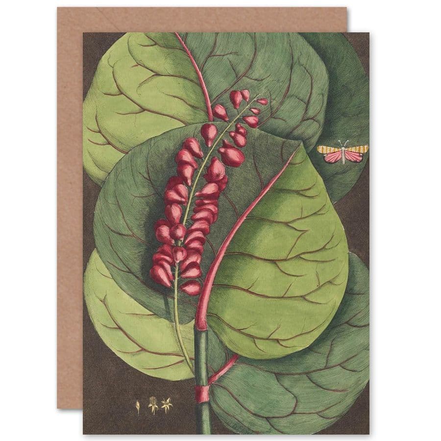 Flower Coccoloba Uvifera Seagrape Greetings Card