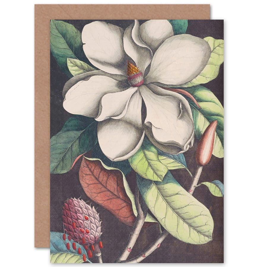 Flower Magnolia Botany Greetings Card