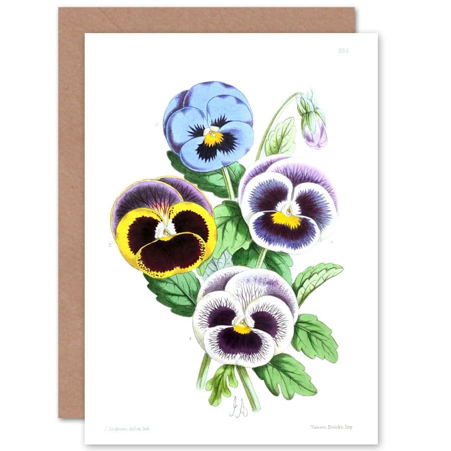 Flower Pansies Viola Greetings Card