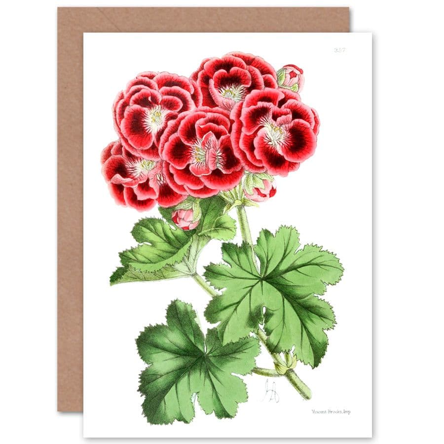 Flower Red Leaves Greetings Card