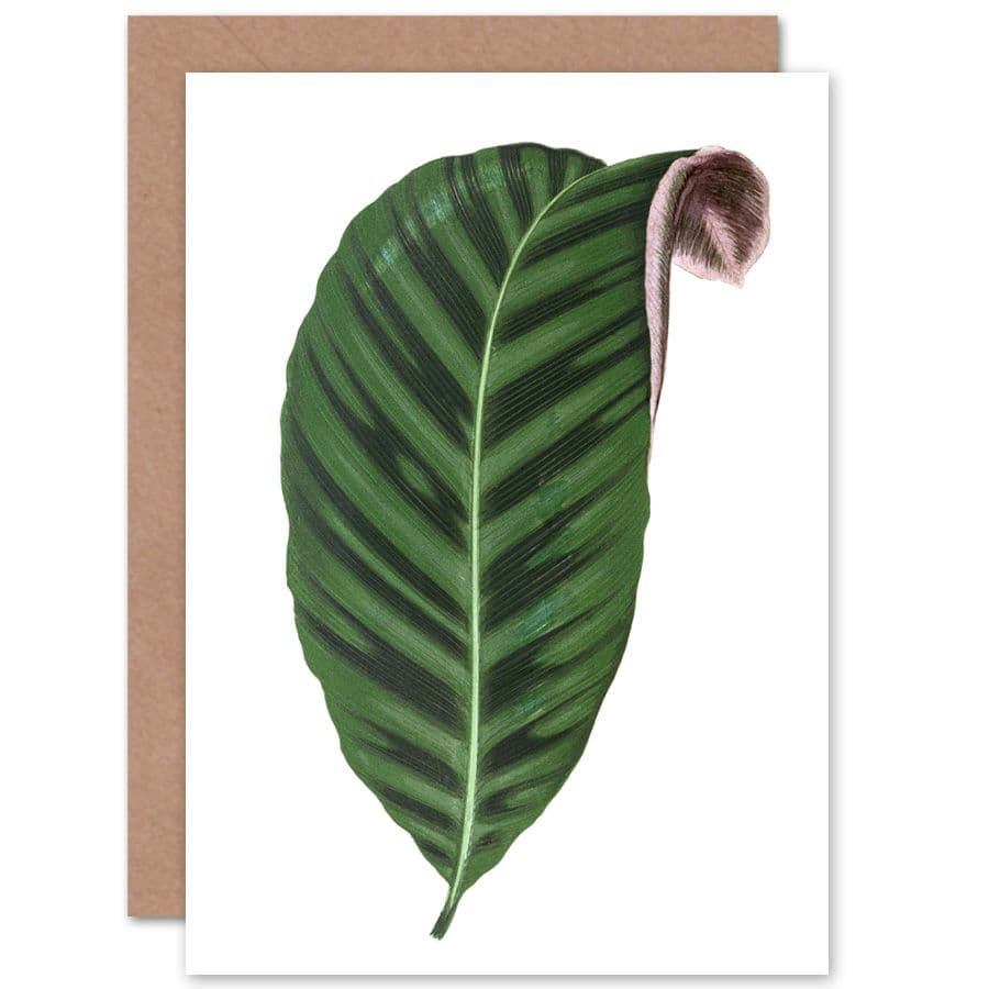 Botanical Gardner Leaf Jungle Paradise Greetings Card