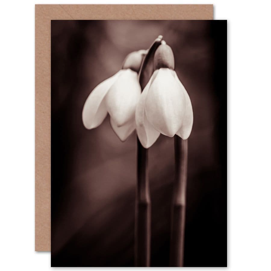 Two Snowdrops Photograph Greetings Card