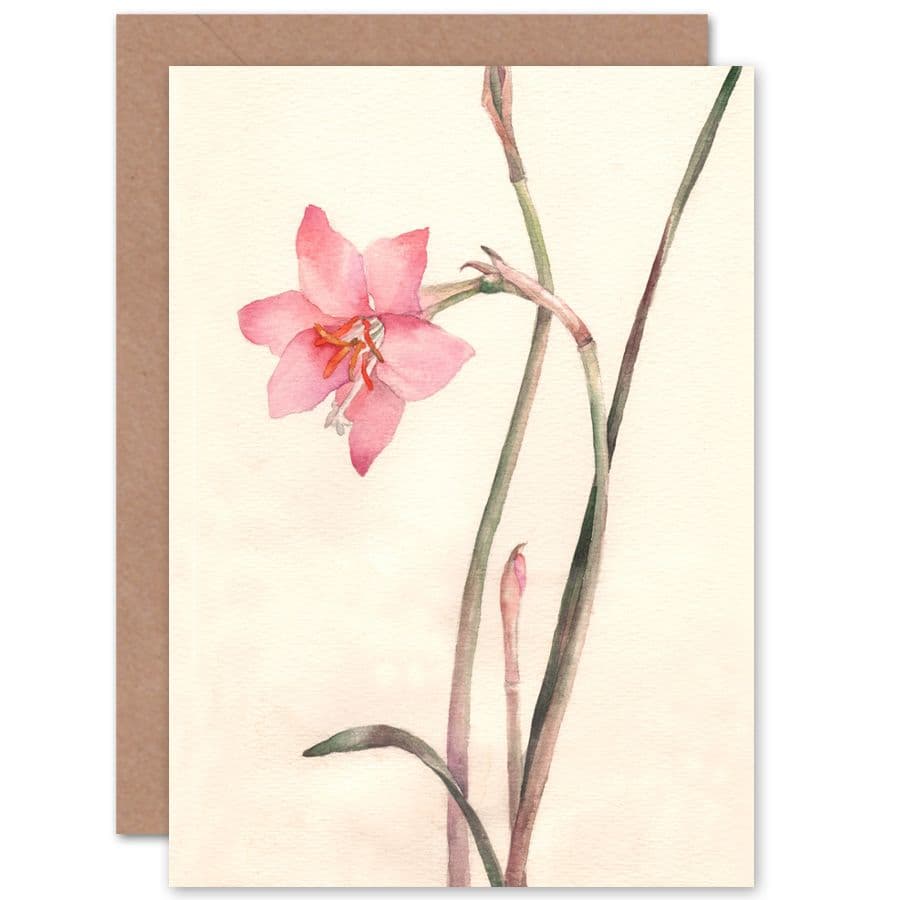 Flower Zephyranthes Watercolour Greetings Card