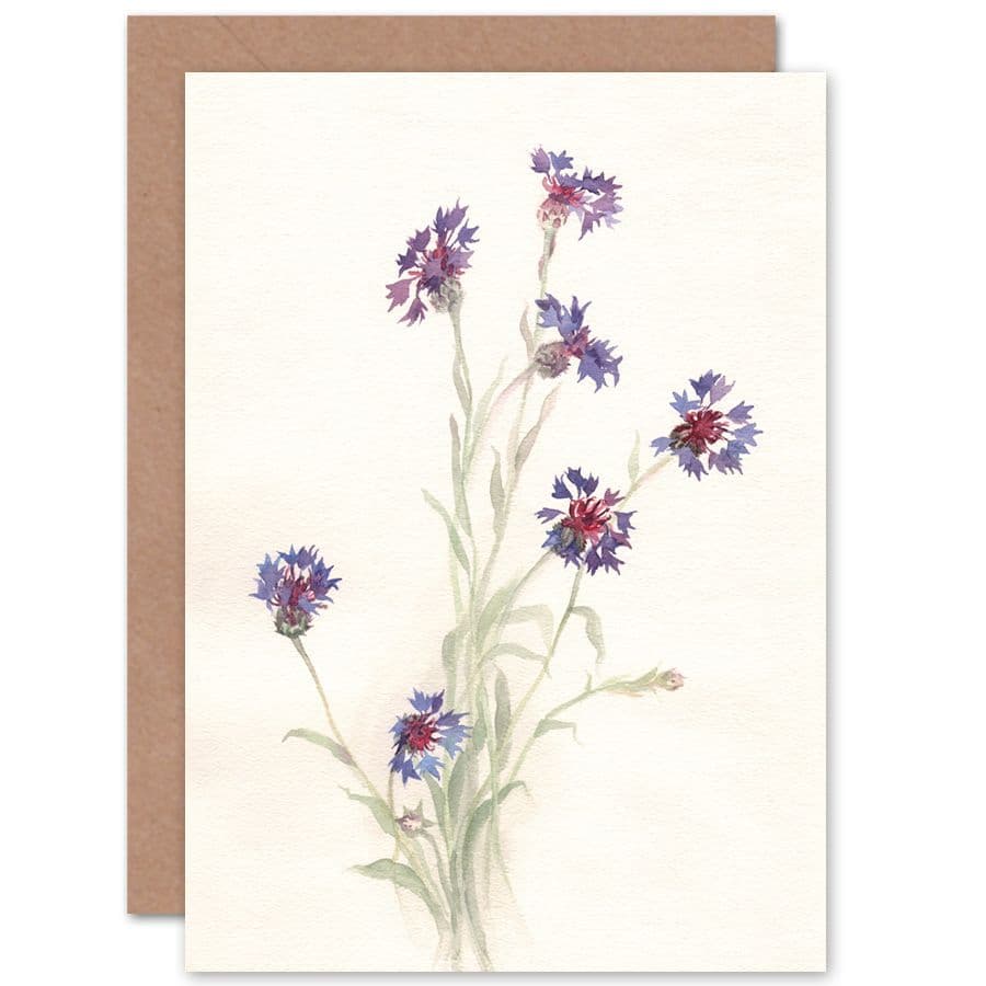 Flower Cornflowers Watercolour Greetings Card