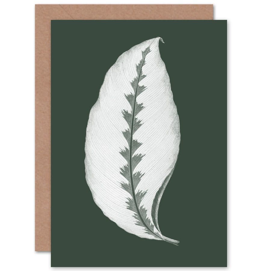 Botanics Hunter Green Jungle Leaf Greetings Card
