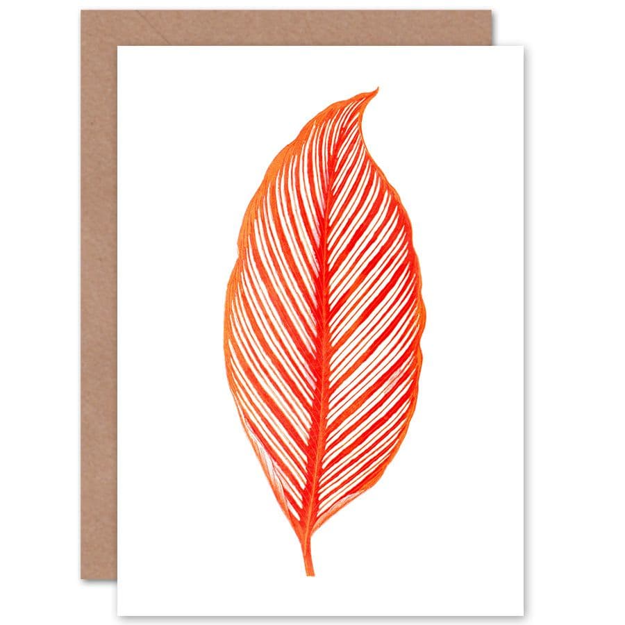Botanics Red Orange Stripes Greetings Card