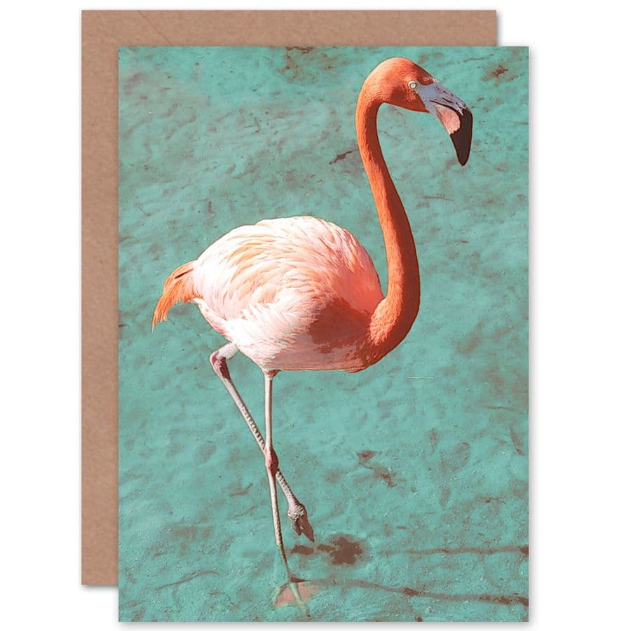 Flamingo On Blue Greetings Card