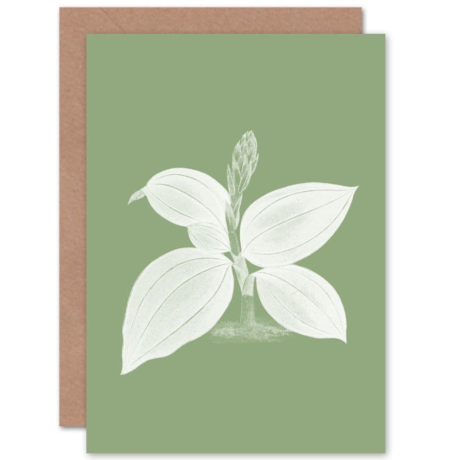 Green Exotic Flora Greetings Card