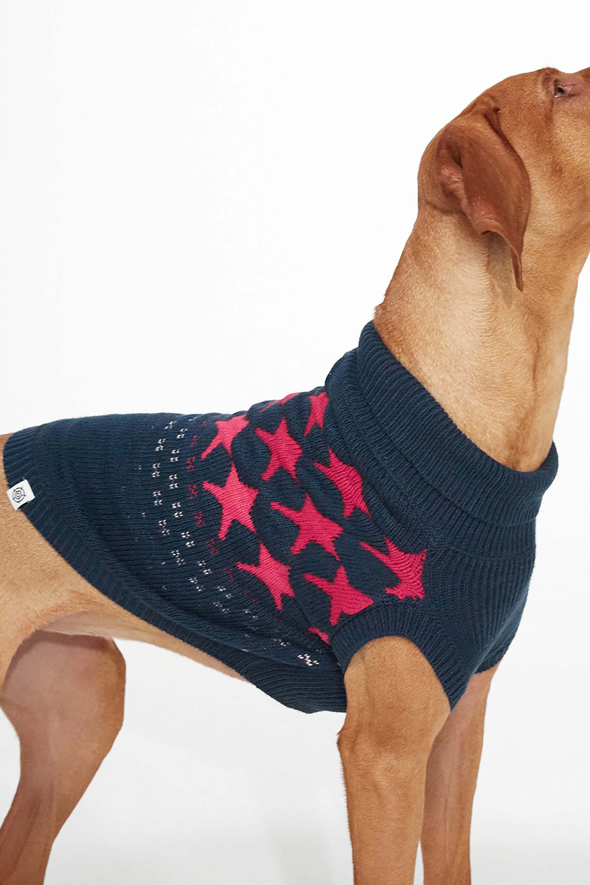 Doodle Knitted Dog Coat