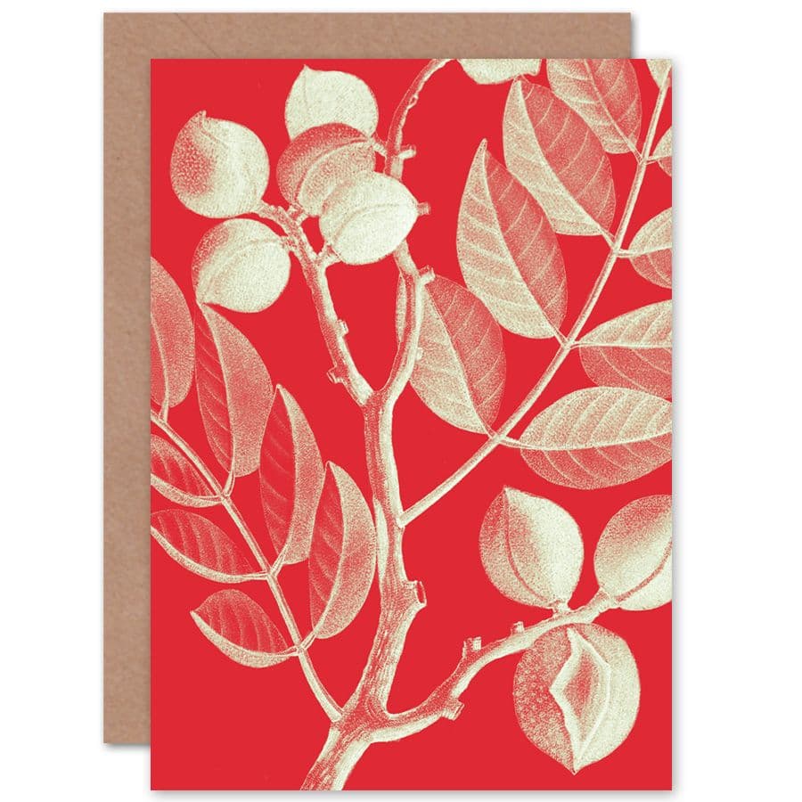 Modern Bold Biodiversity Red Plant Greetings Card