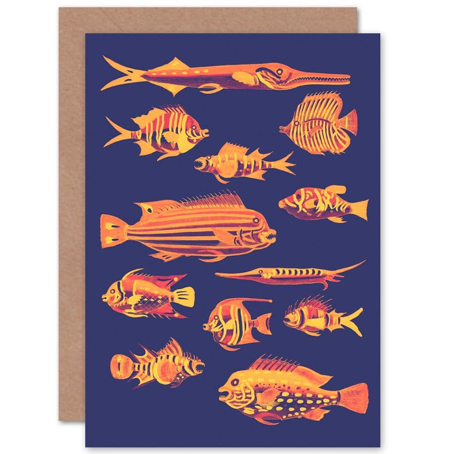 Vivid School Fish Greetings Card