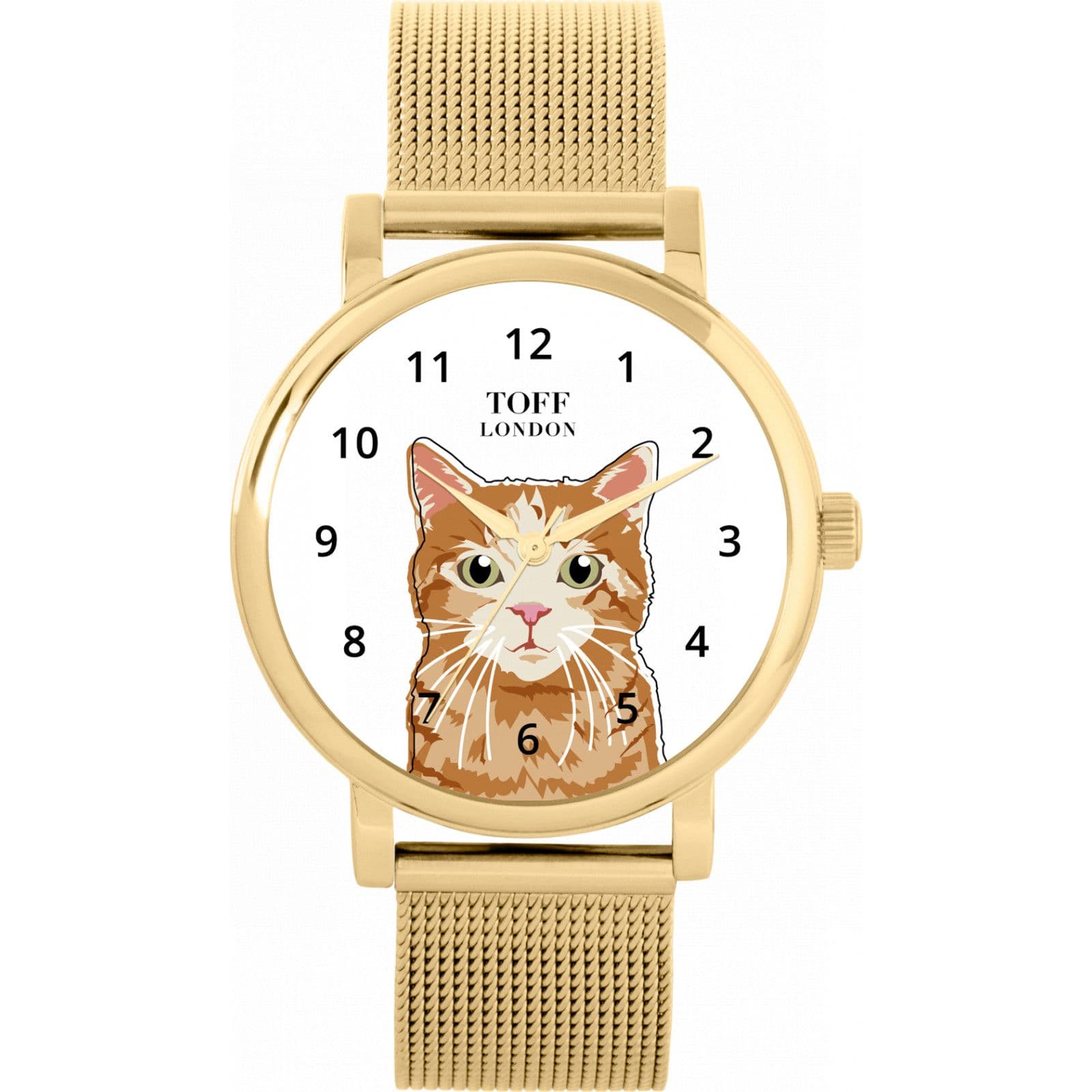 Cats Watch