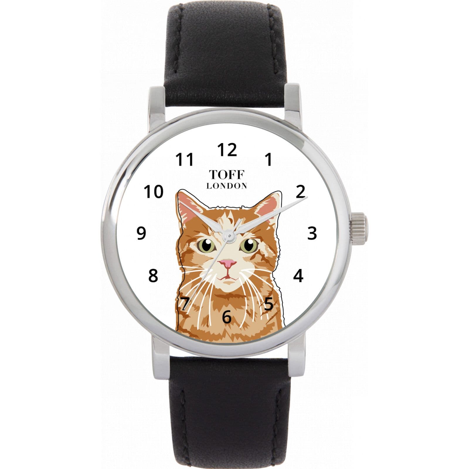 Cats Watch