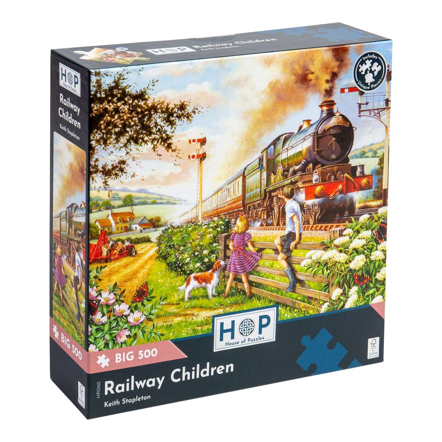 Railway BIG 500 Piece Jigsaw Puzzle