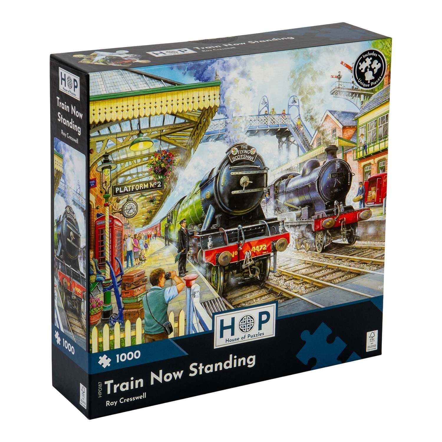 Train Now Standing 1000 Piece Jigsaw Puzzle
