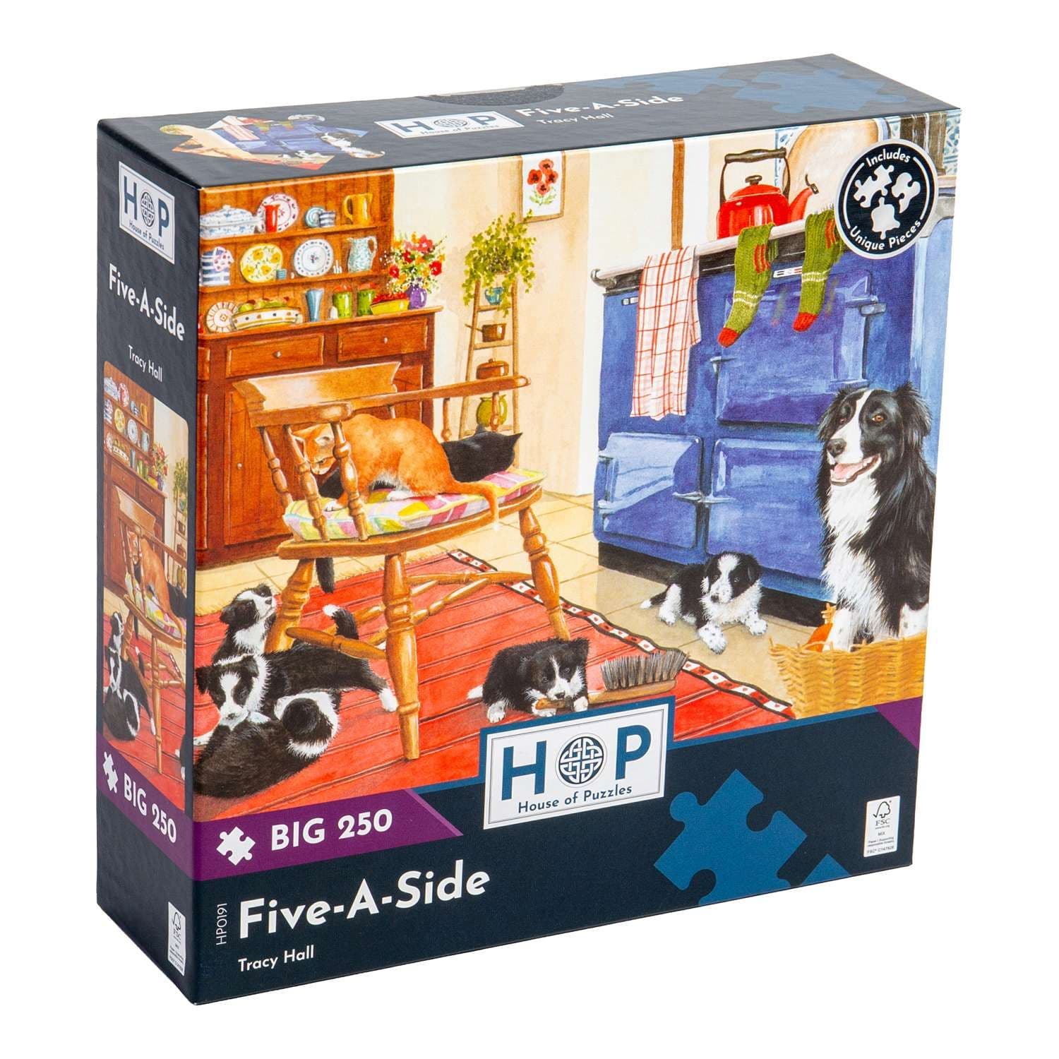 Five Side BIG 250 Piece Jigsaw Puzzle